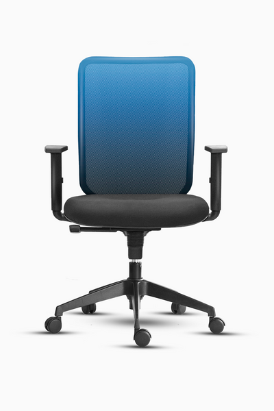 Blue Blue Shaded Chair