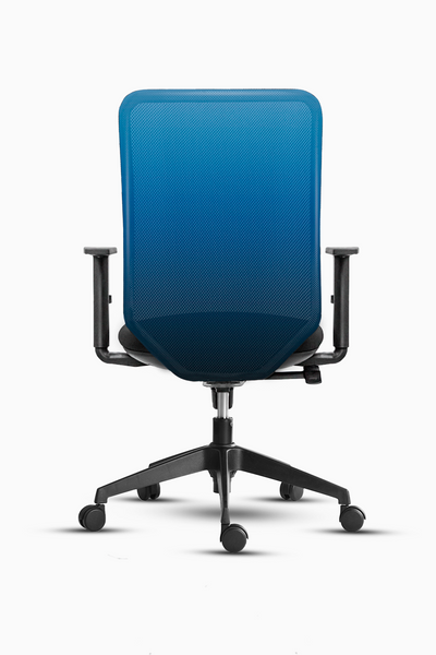 Blue Blue Shaded Chair